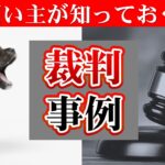 犬の飼い主が必ず知っておくべき裁判事例