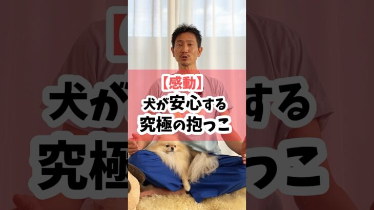 【感動】犬が安心する究極の抱っこ #犬 #犬のしつけ #犬のいる暮らし