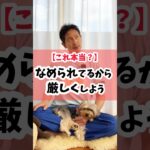 【これ本当？】愛犬にナメられてる？ #犬 #犬のしつけ #犬のいる暮らし