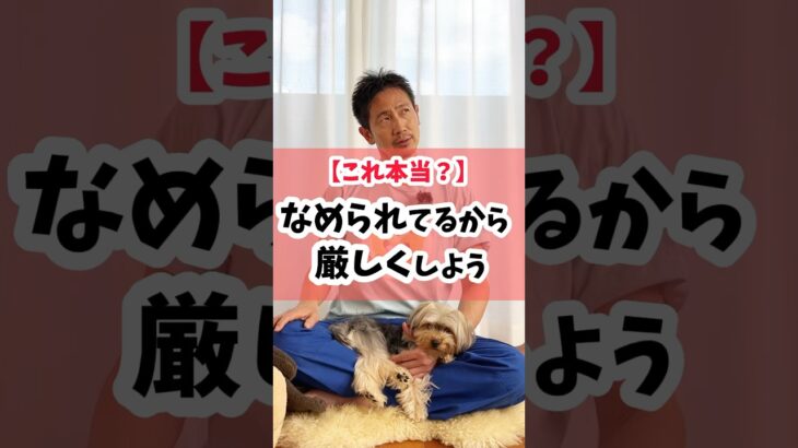 【これ本当？】愛犬にナメられてる？ #犬 #犬のしつけ #犬のいる暮らし