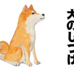 犬のしつけ