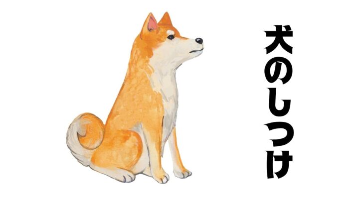 犬のしつけ