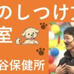 犬のしつけ方教室