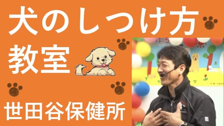 犬のしつけ方教室