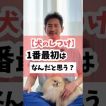 いちばん最初にする犬のしつけってなんだと思う？ #犬 #犬のしつけ #犬のいる暮らし