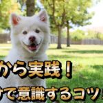 今日からできる！　初心者が意識したい愛犬のしつけのコツ５選