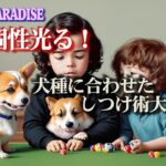 【知ってる？】それぞれの犬種でこんなに違う！性格の違いを活かしたしつけのコツ