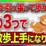 【しつけ】愛犬が散歩で引っ張る、歩かない！直し方はこの3つ！【プロドッグトレーナー】