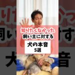 知りたくなかった！飼い主に対する犬の本音5選 #犬 #犬のしつけ #犬のいる暮らし