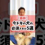 【最新】今ドキの犬の必須スキル5選 #犬 #犬のしつけ #犬のいる暮らし