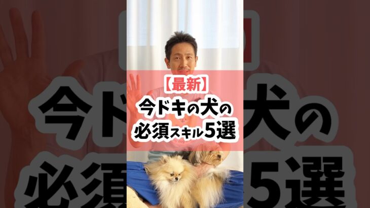 【最新】今ドキの犬の必須スキル5選 #犬 #犬のしつけ #犬のいる暮らし