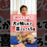 【絶対チェック】犬が触られて喜ぶ場所5選 #犬のしつけ #犬 #犬のいる暮らし