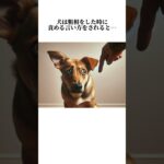 犬が隠してる秘密が可愛すぎて…イヌの嘘みたいな秘密5選を暴露🤫