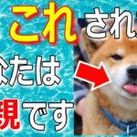 犬が家族で最愛の人だけに見せる仕草7選【完全版】