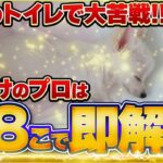 【犬のしつけ】トイレの教え方決定版！マスターさせるための考え方8つ！【裏技】