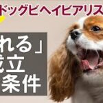 「馴れる」が成立する条件について解説 ：DOGGY STATION Vol.＊＊＊/犬のしつけ・問題行動・犬の心理学・犬の行動学・ドッグビヘイビアリスト