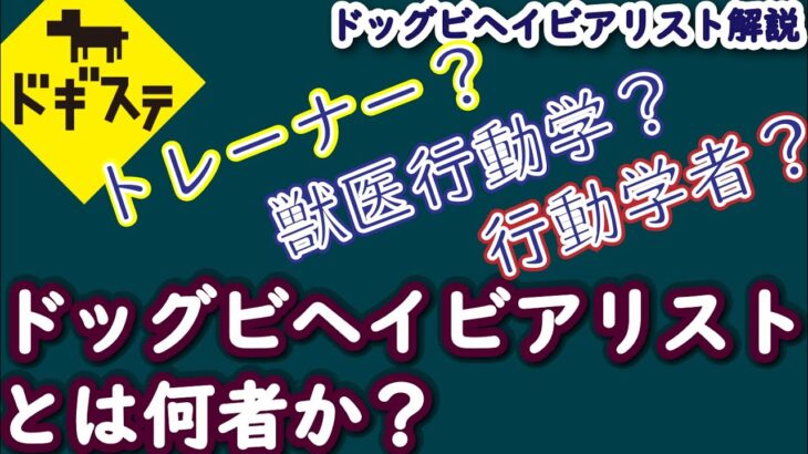 ドッグビヘイビアリストとは何者か？ ：DOGGY STATION Vol.＊＊＊/犬のしつけ・問題行動・犬の心理学・犬の行動学・ドッグビヘイビアリスト