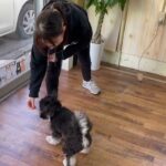 MIX犬の”ぷるぱくん”と手に”タッチ”に挑戦！