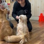 MIX犬の”ニモくん”と”なんでやねん”に挑戦！