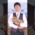 【#わんこアキネーター】プロドッグトレーナーなら犬種当てられるはず！アキネーターチャレンジ【ダルメシアン編】#dogshorts #dogtraining #犬のいる暮らし