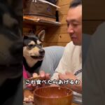 話せばわかる犬　#犬のしつけ #犬のいる暮らし #shorts