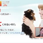 犬のしつけに役立つ洗えるペットグッズ「ワンマー」の魅力！