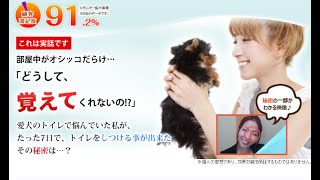 犬のしつけに役立つ洗えるペットグッズ「ワンマー」の魅力！