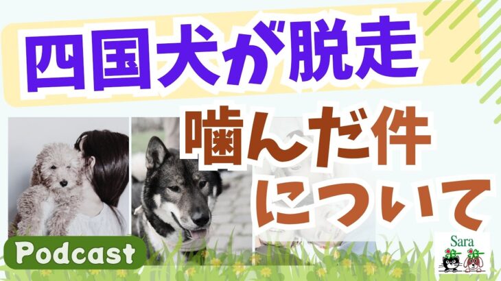 四国犬の脱走・咬傷事件：防ぐにはどうしたらイイ？