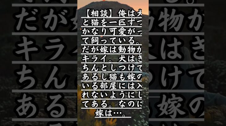 【相談】俺は犬と猫を一匹ずつかなり可愛がって飼っている。だが嫁は動物がキライ。犬はきちんとしつけてあるし猫も嫁のいる部屋には入れないようにしてある。なのに嫁は…。#相談#動物嫌い#離婚