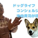 池田流！犬のしつけトレーニング