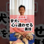 【超簡単】愛犬と心を通わせる裏技#犬のしつけ #犬 #犬のいる暮らし