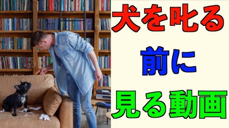 しつけ方の紹介 褒めてしつける