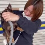 犬の幼稚園 コアくんとトレーニング