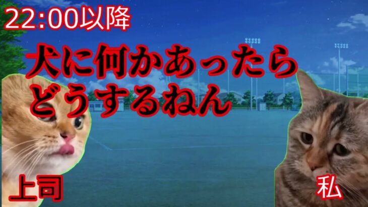 警察犬訓練所のとある一日