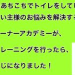 成犬になってからトイレの失敗を改善するために、ドッグトレーナーがトイレトレーニングを行ったら、こんな感じになりました！