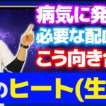 ♀犬の生理（ヒート）で気をつけたいポイント！全員に知って欲しい向き合い方や必要な配慮について！【プロドッグトレーナー】