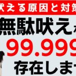 犬のしつけ｜犬が吠える原因と対策方法を伝授します！