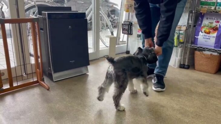 犬の幼稚園 レオンくんとトレーニング