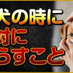 子犬の時に絶対に慣らすこと