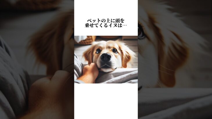 犬の不思議な秘密が可愛すぎるwイヌの秘密10選を暴露🤫