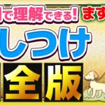 【完全版】初心者必見！犬のしつけ・飼い方を理解するマインドマップ！困ったらまずこれを見てください！【1時間で完全解説】