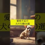 愛情不足の犬の行動10選 #犬の雑学 #犬の豆知識 #犬のいる暮らし #犬のしつけ