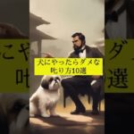 犬にやったらダメな叱り方10選 #犬の雑学 #犬のしつけ #shorts