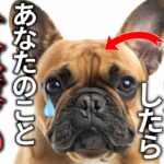 全部知ってる？犬が嫌いな人にだけ見せる行動21選