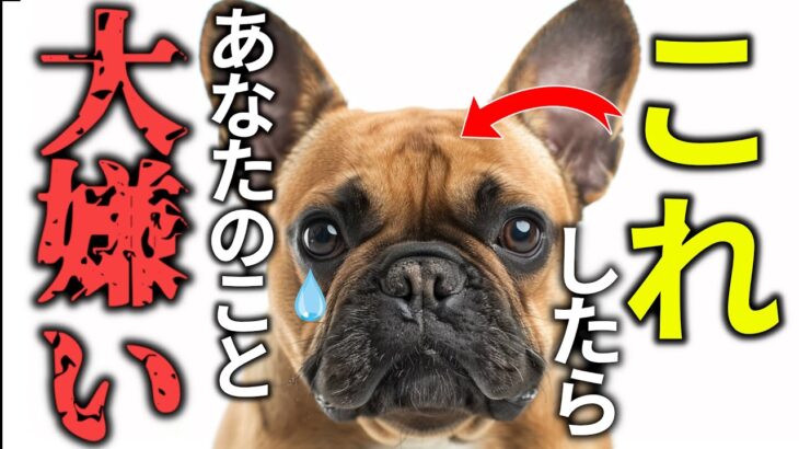 全部知ってる？犬が嫌いな人にだけ見せる行動21選