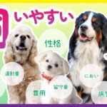 飼いやすい犬を選ぶためのポイント9選／しつけ／性格／吠え／留守番／運動量／ケア／病気／費用／におい