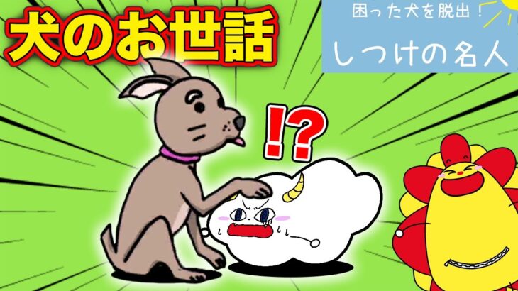 ワンちゃんのお世話は超大変？【困った犬を脱出！しつけ名人】｜ゲーム実況｜★サンサンキッズGAMES★