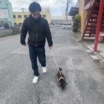 MIX犬の”マッシュちゃん”と散歩トレーニング！