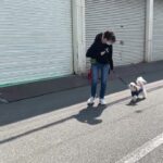 MIX犬の”こころくん”と散歩トレーニング！