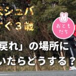 【秋田犬　しつけ】戻る場所に人がいるときどうする？　When he was recalled and if someone is already there, what he will do?